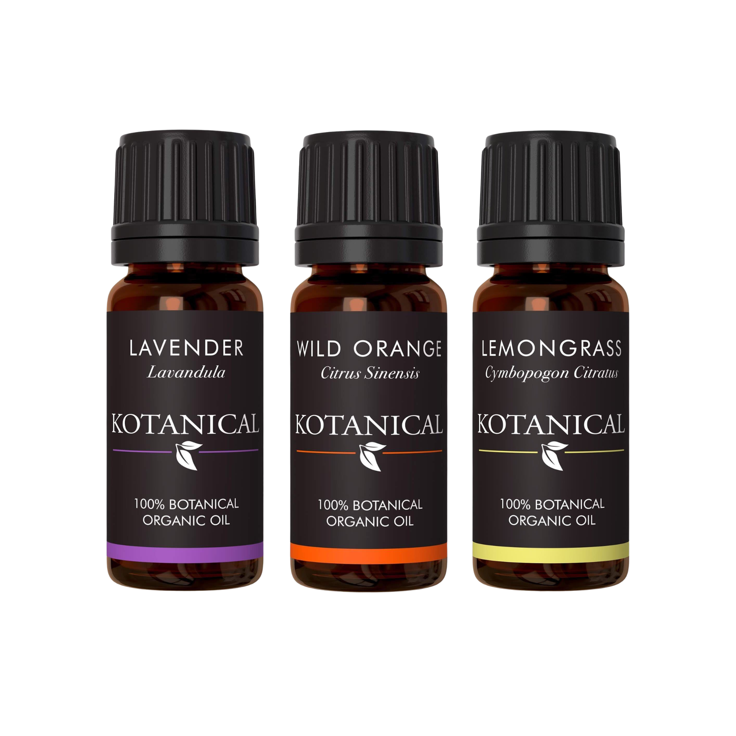 Spring Bloom Oil Set