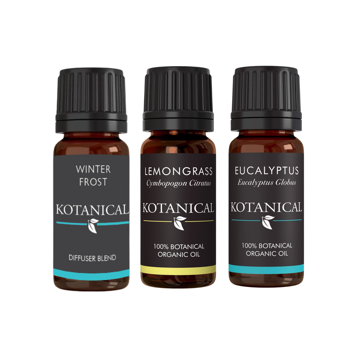 Crisp Winter Oils Trio