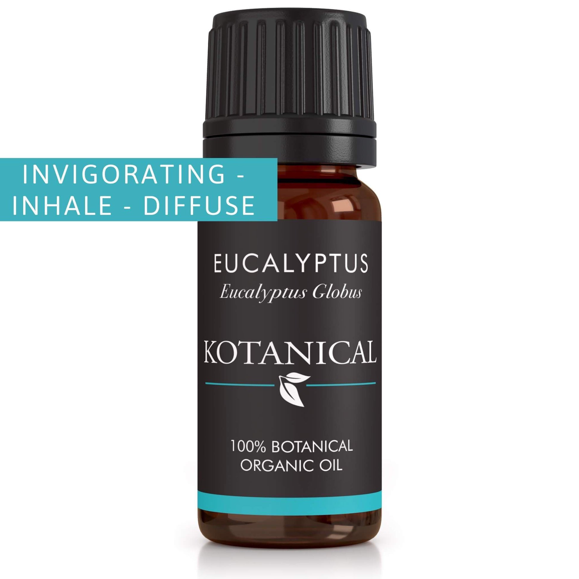 Eucalyptus Essential Oil kotanical 