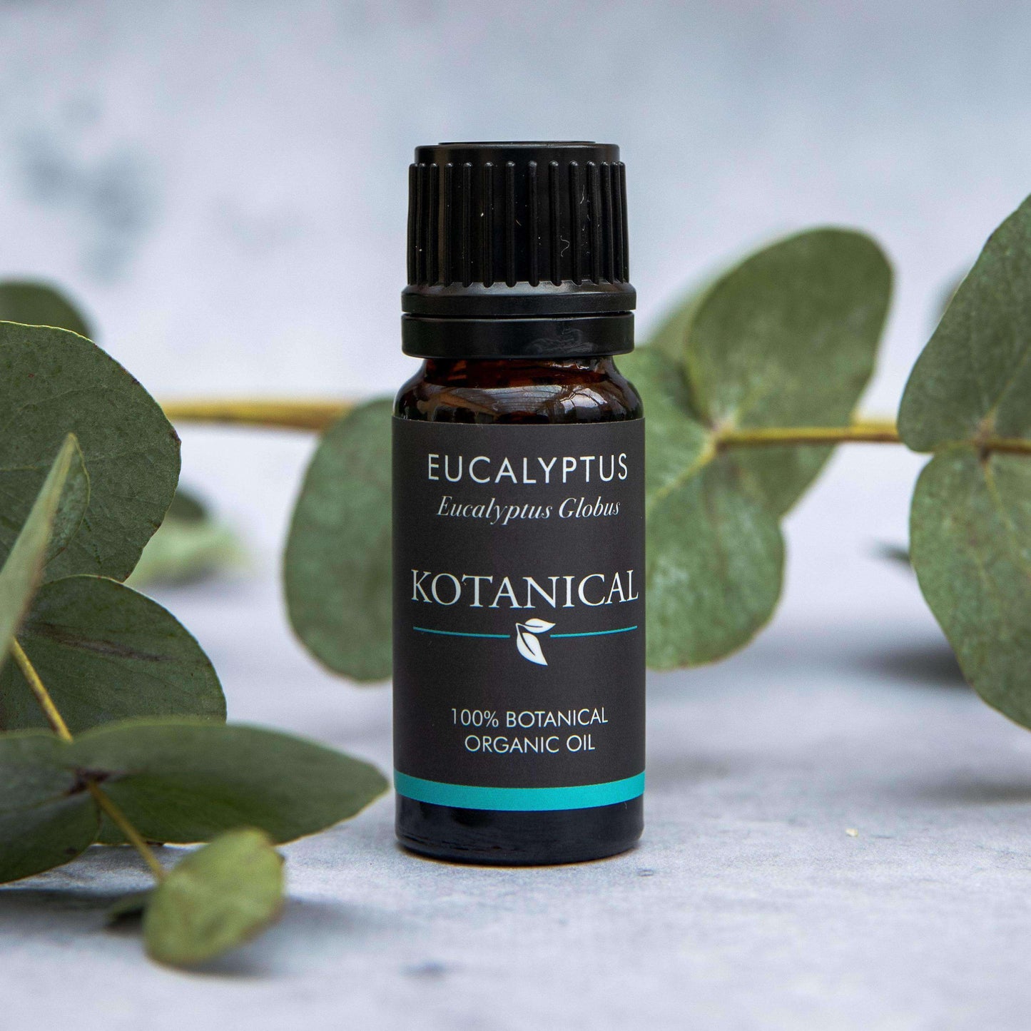 Eucalyptus Essential Oil kotanical 