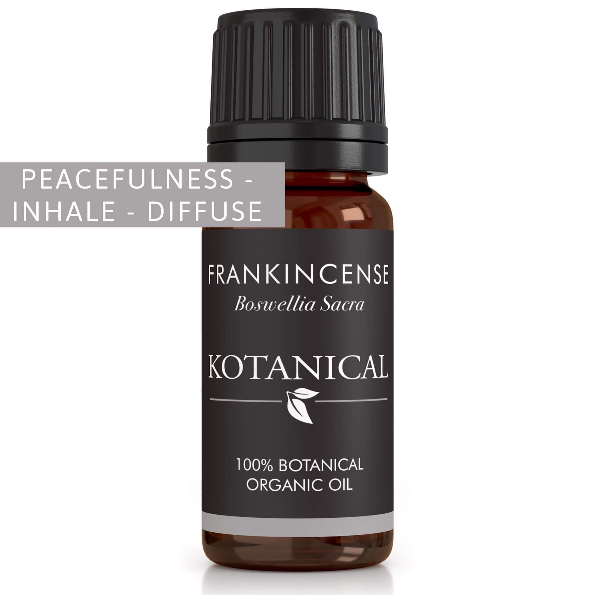 Frankincense Essential Oil kotanical