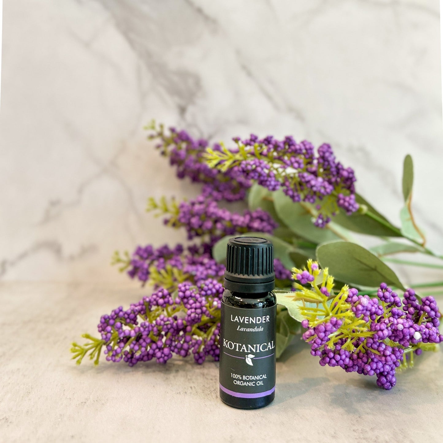 Lavender Essential Oil kotanical