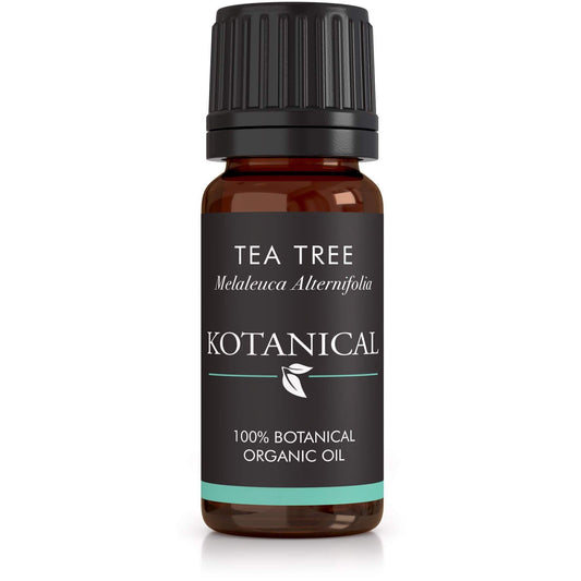 Tea Tree Essential Oil kotanical 