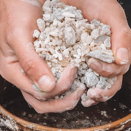 Frankincense Essential Oil kotanical 