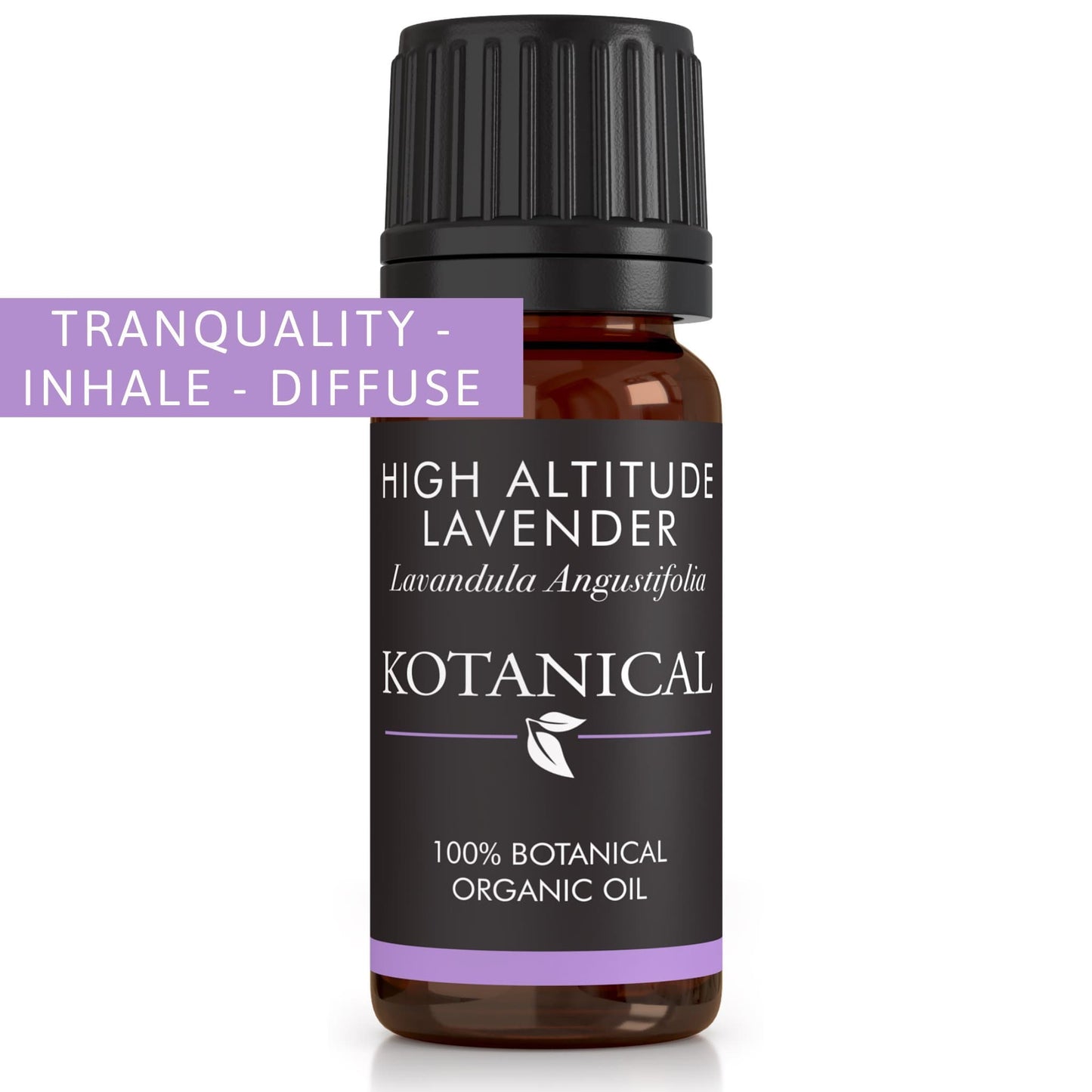 High Altitude Lavender Essential Oil essential oil kotanical 