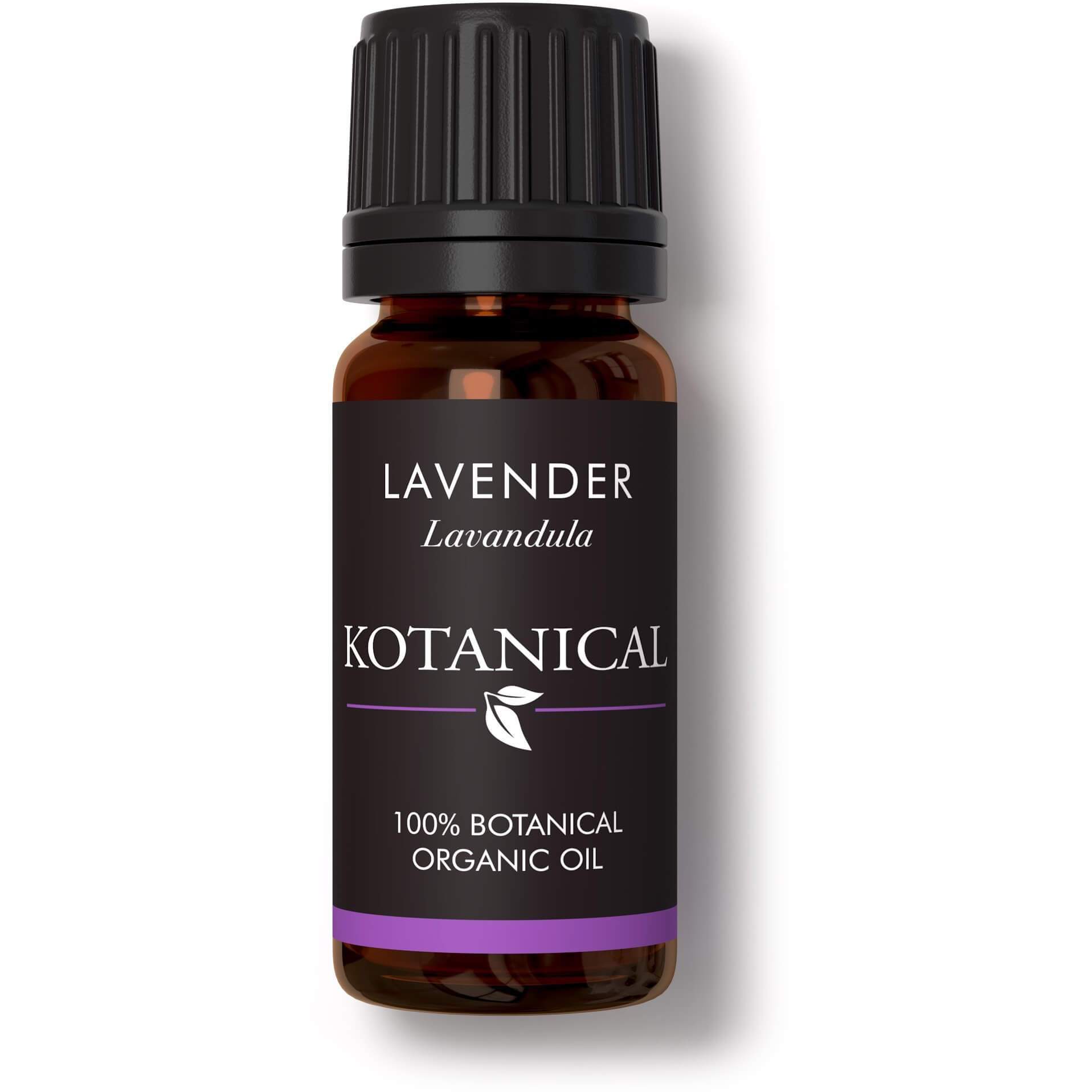 Lavender Essential Oil kotanical 