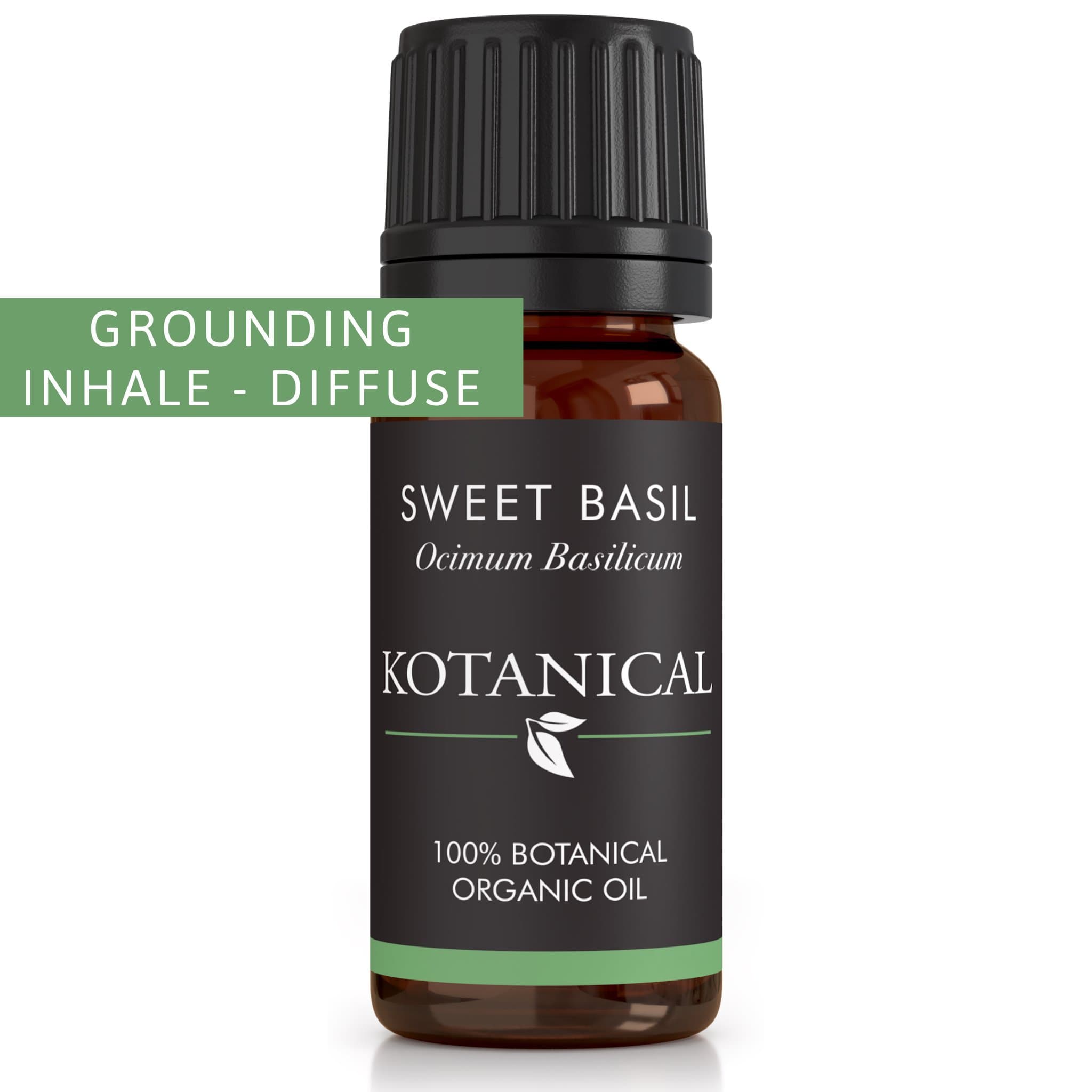 Sweet Basil Essential Oil