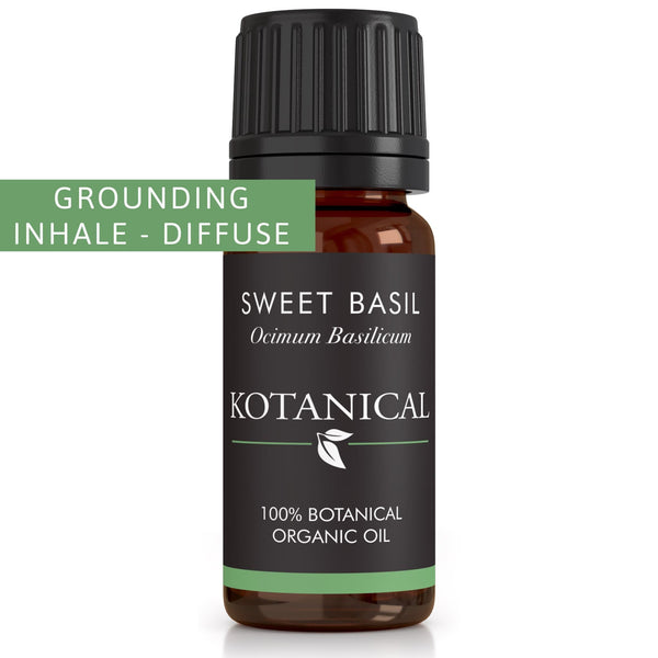 Sweet Basil Essential Oil kotanical 